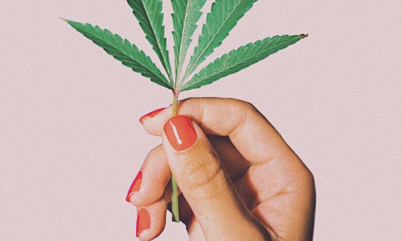 THC-A: лучший противо-воспалительный и нейропротектор