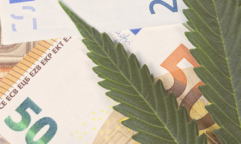 Світові продажі конопель перевищили 21 млрд доларів у 2020 році